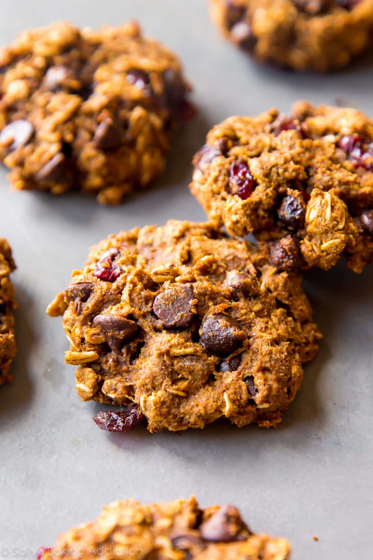 healthy pumpkin chocolate chip oatmeal cookies