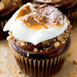 chocolate cupcakes topped with chocolate frosting, crushed graham crackers, and a toasted marshmallow