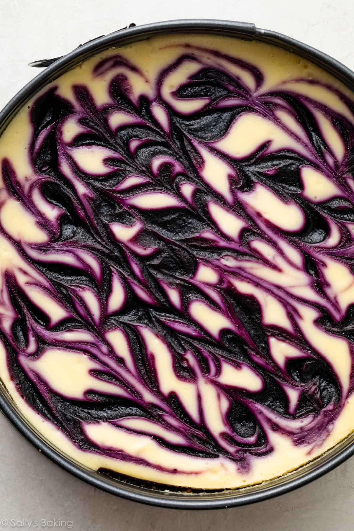 top of blueberry swirl cheesecake.