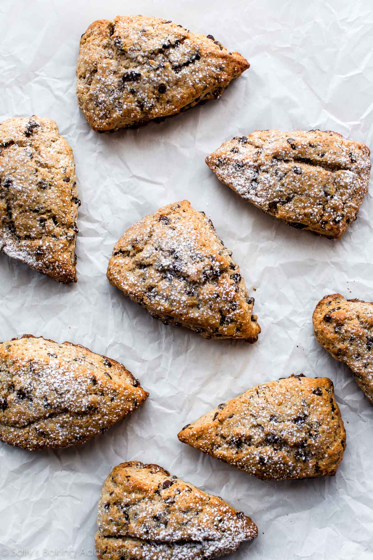 Chocolate chip scones