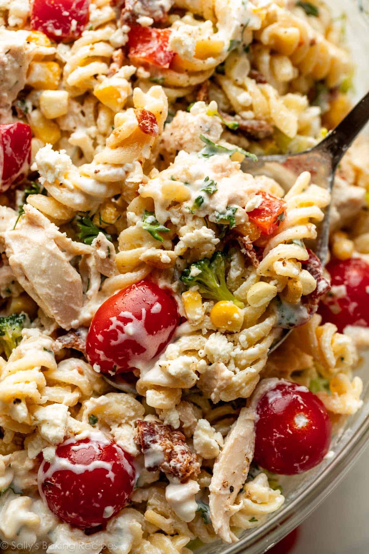 close up of creamy pasta salad with chicken and cherry tomatoes.