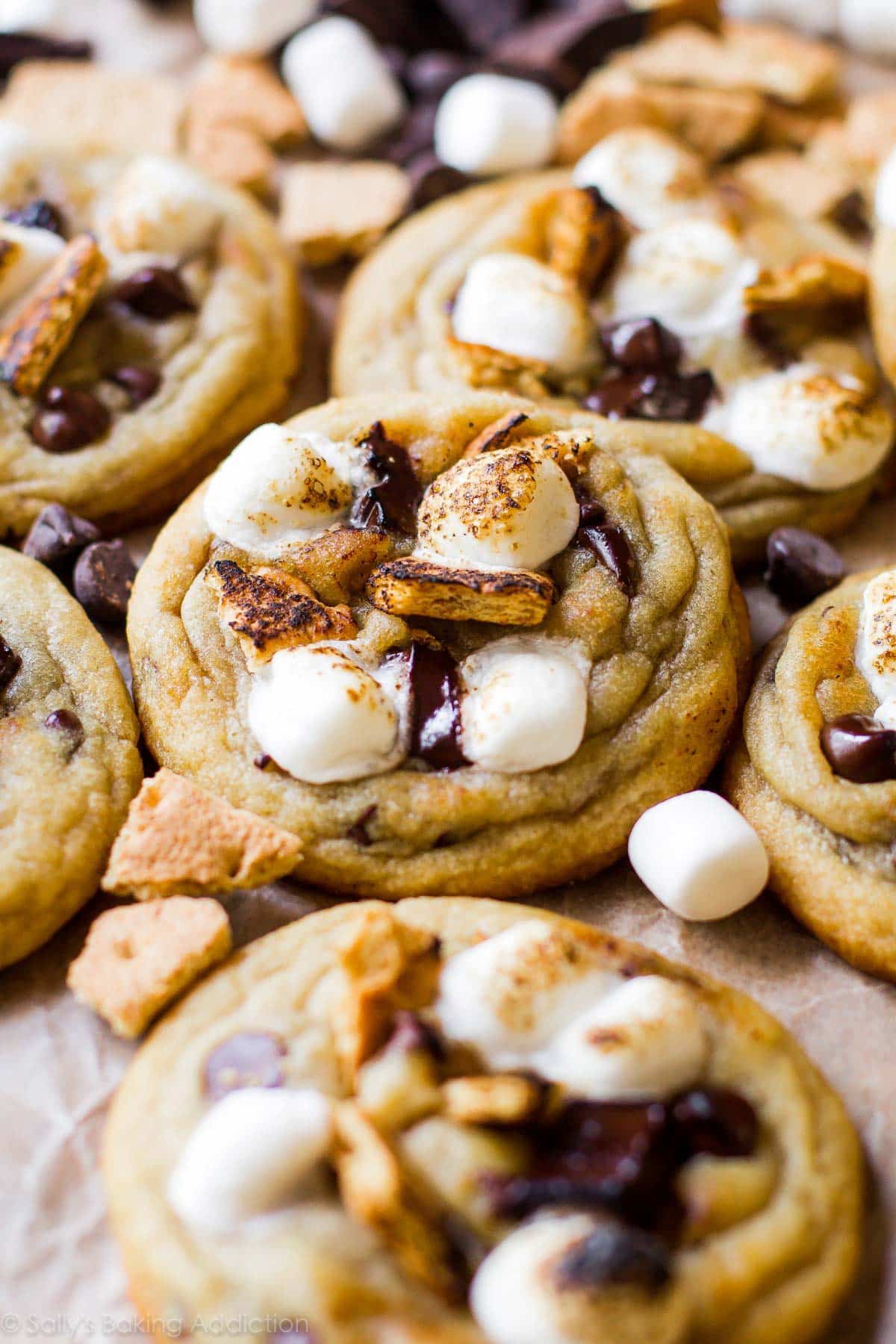 toasted s'mores chocolate chip cookies