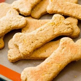 dog treats shaped like bones