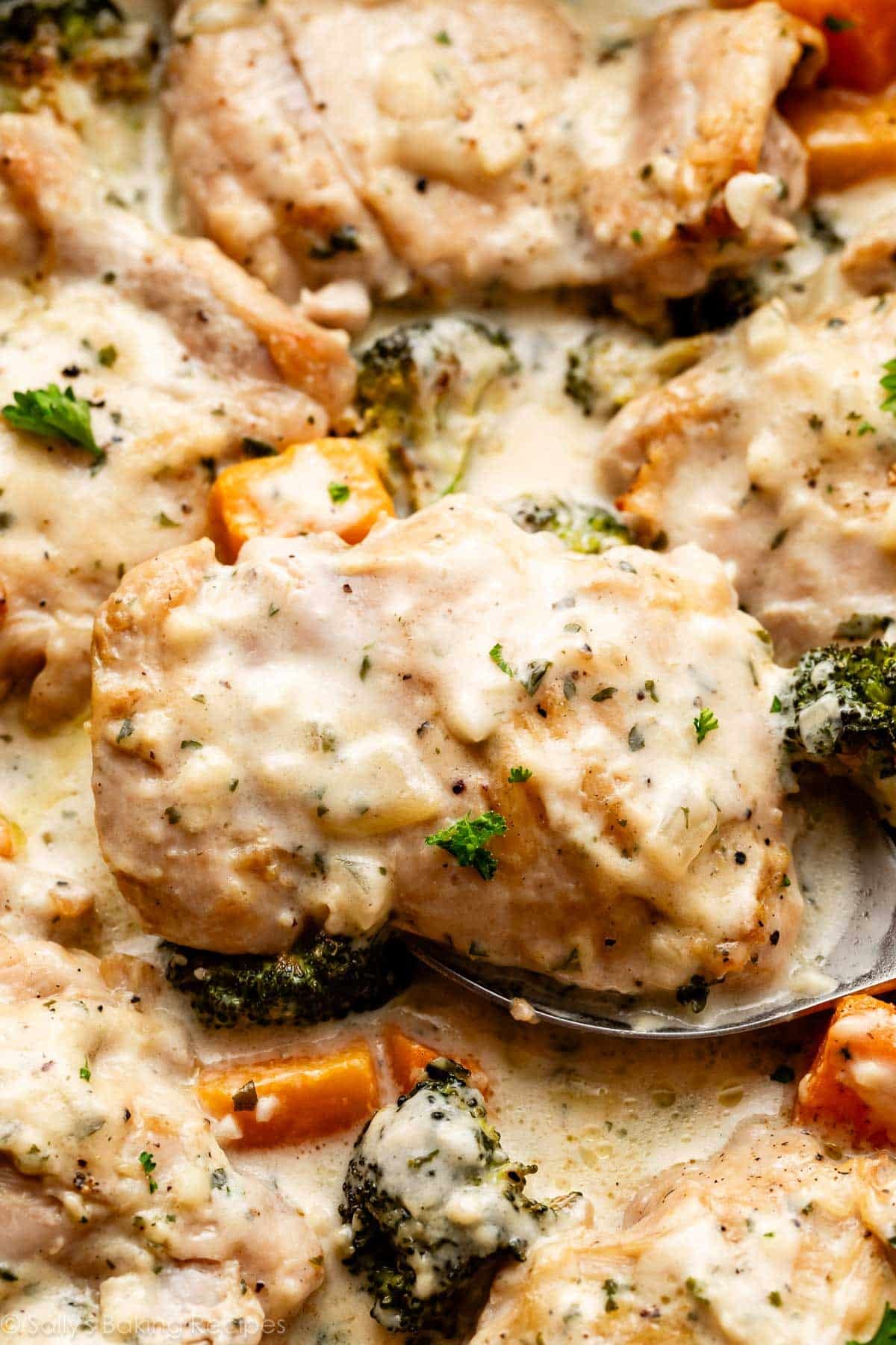 close-up of creamy garlic chicken with broccoli and butternut squash.