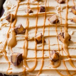 chocolate sheet cake topped with peanut butter frosting, drizzle of melted peanut butter, and peanut butter cups
