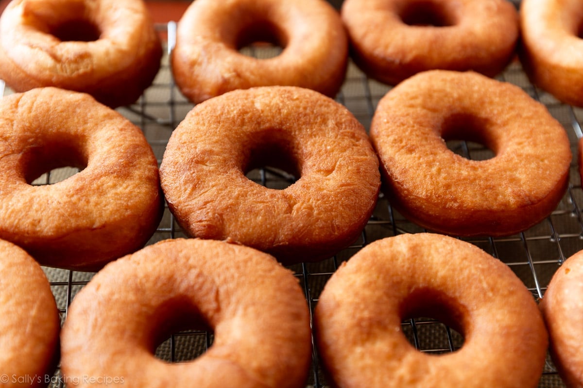 plain homemade yeast doughnuts on cooling rack.