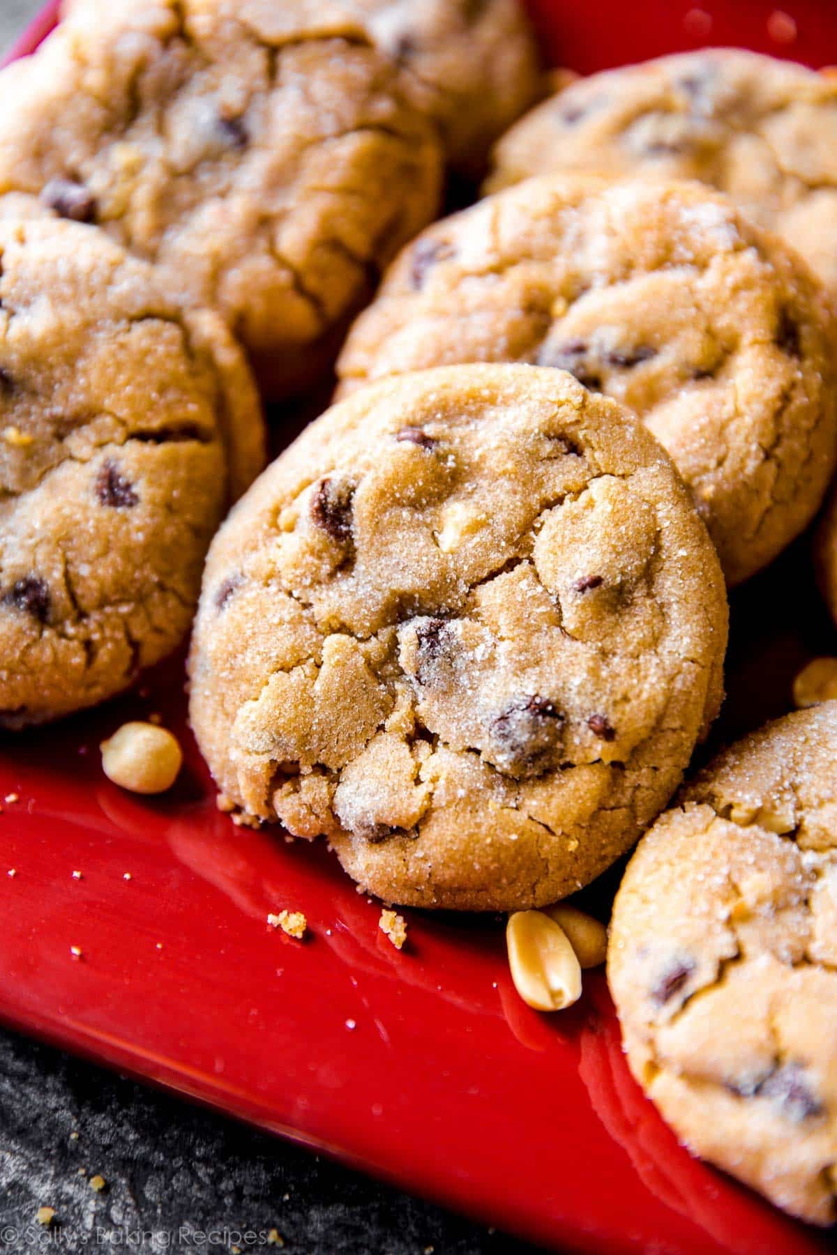 peanut butter cookies with crackles on top on red plate.
