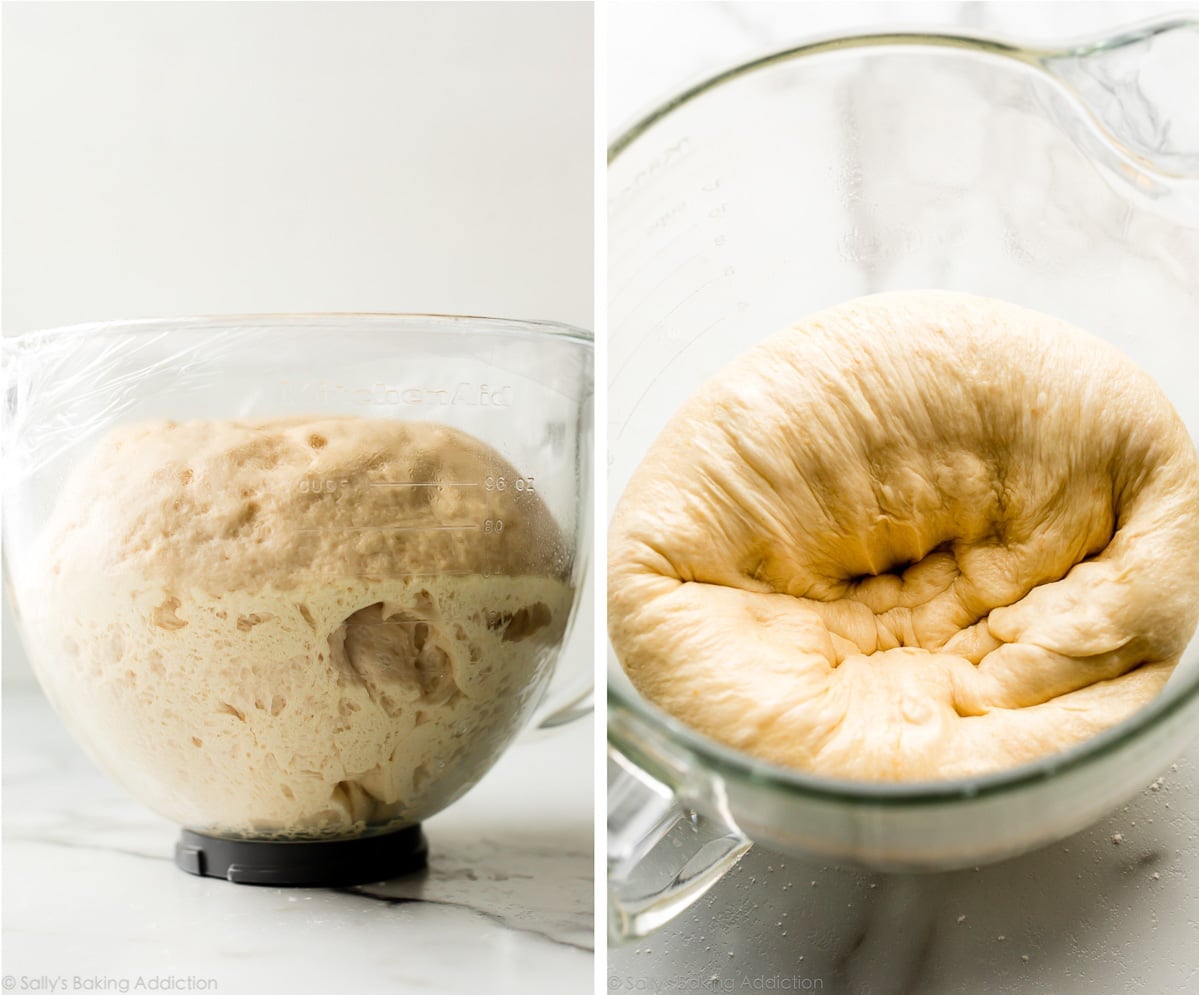 dough after 1st rise and punched down