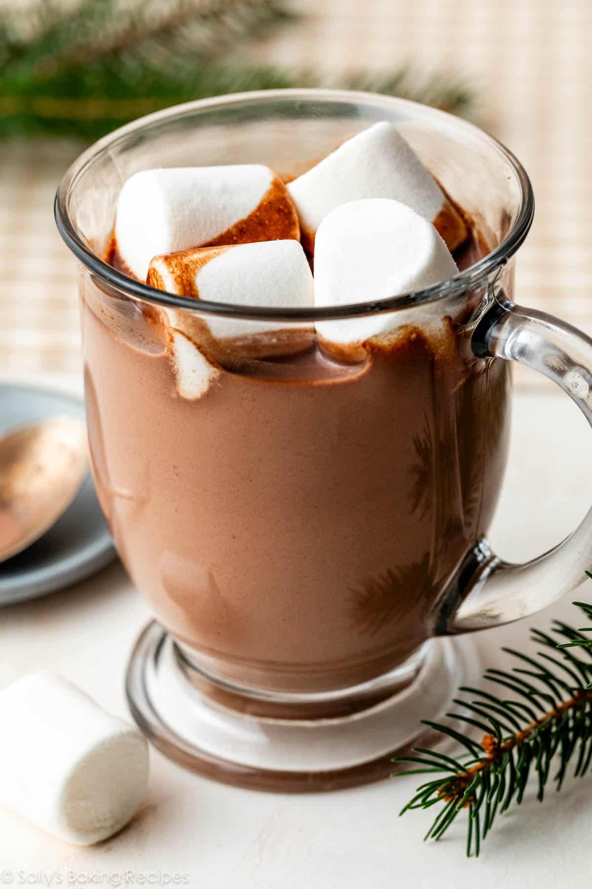 glass mug of homemade hot chocolate with marshmallows on top.