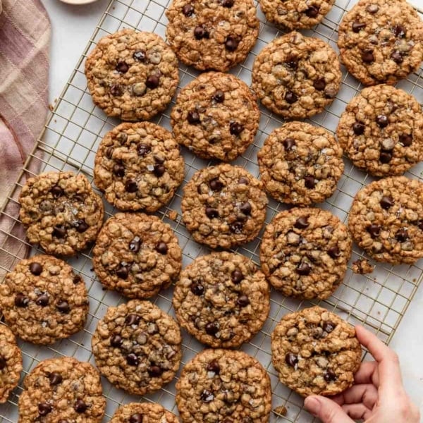 oatmeal chocolate chip cookies on gold cooling rack.
