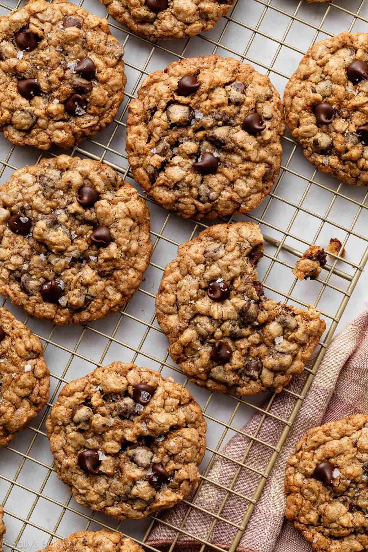 oatmeal chocolate chip cookies on gold cooling rack.