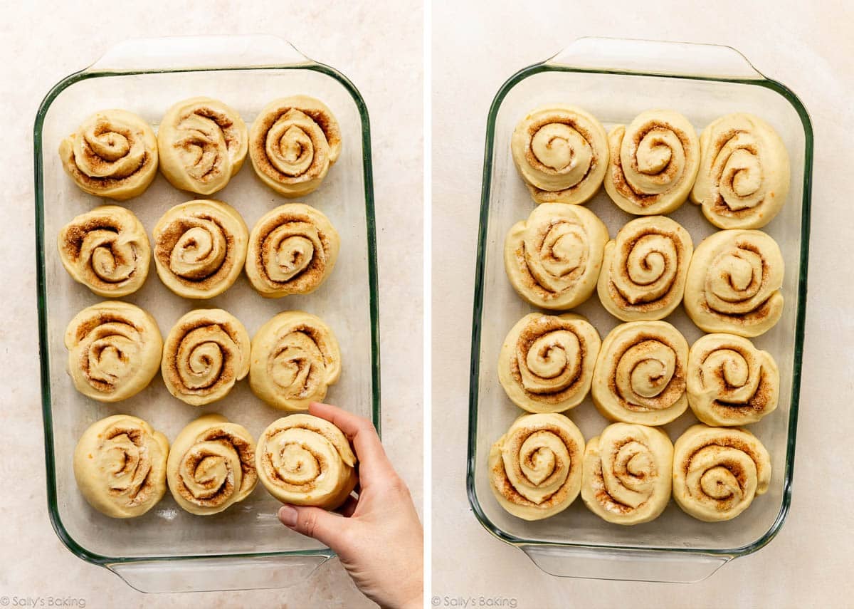 orange rolls before and after rising.