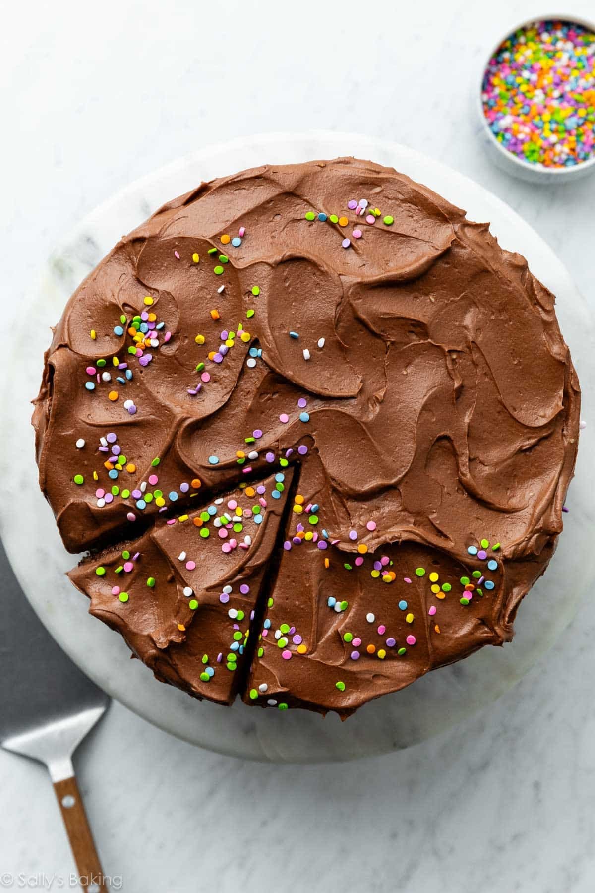 overhead photo of chocolate frosted cake with pastel rainbow quin sprinkles.