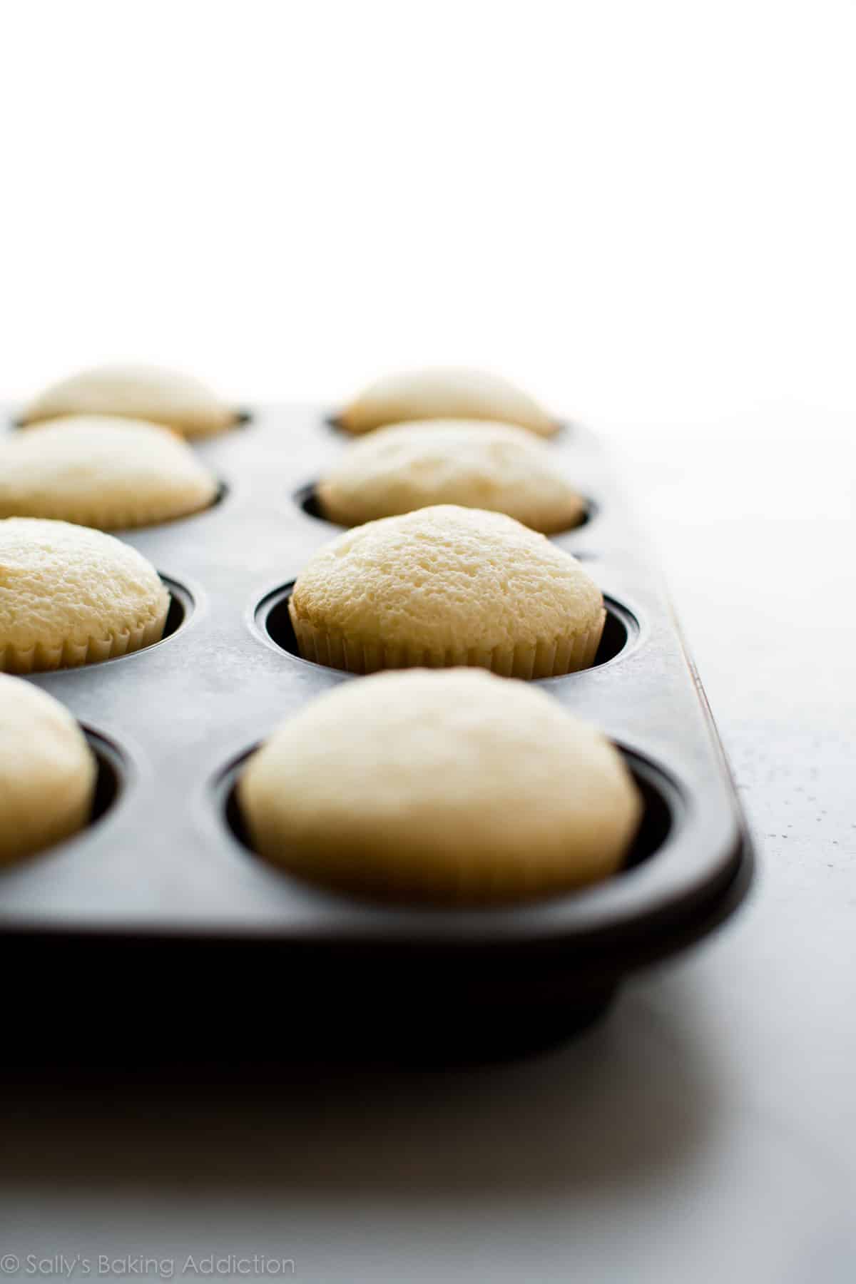Angel food cupcakes in a cupcake pan