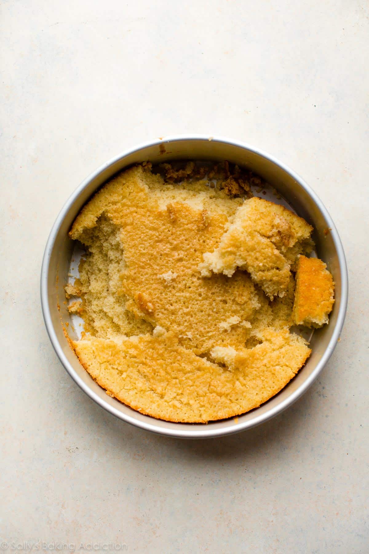 sponge cake in a cake pan