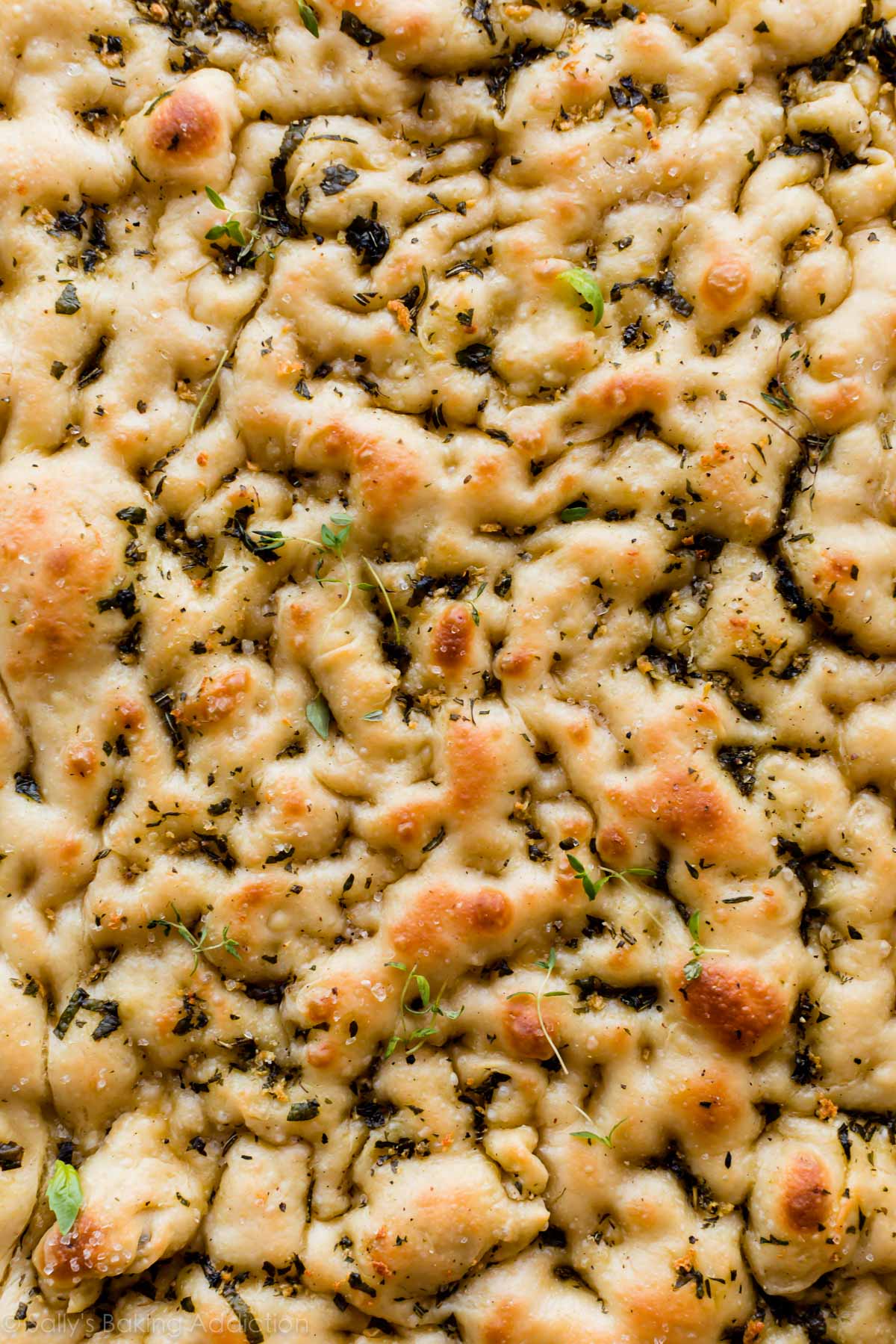 Close up image of the crispy garlic rosemary herb focaccia bread