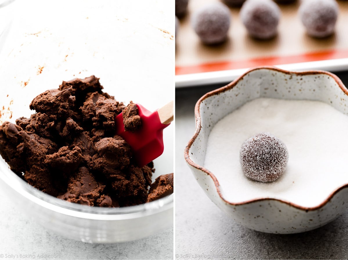 chocolate cookie dough and chocolate cookie dough balls rolled in sugar