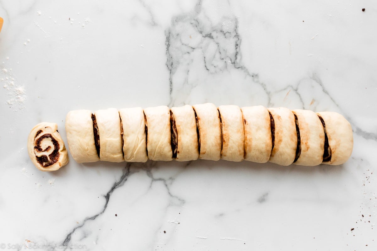 dough log cut into 12 pieces