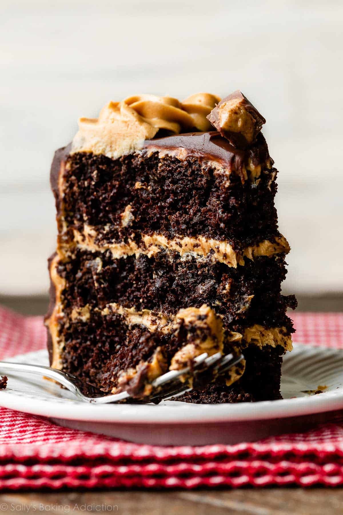 slice of dark chocolate peanut butter cake on white plate set on red checkered napkin.