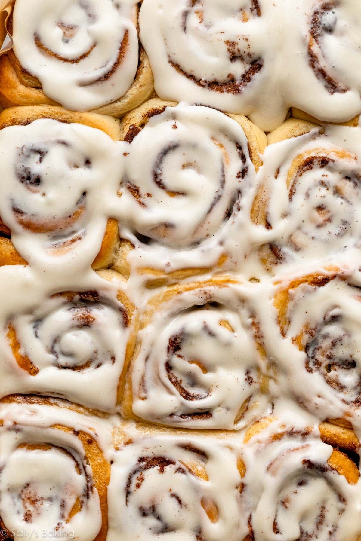 close-up pan of baked and frosted cinnamon rolls.