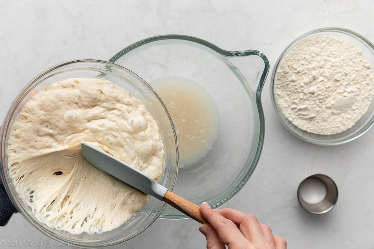 spatula scraping biga from bowl into bowl of yeast and water.