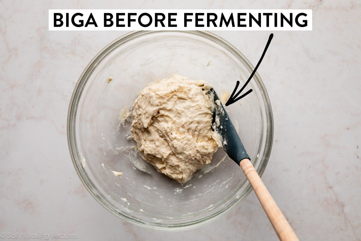 biga in glass bowl with text "biga before fermenting" at the top.