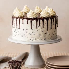 chocolate chip layer cake with buttercream and chocolate ganache drip.