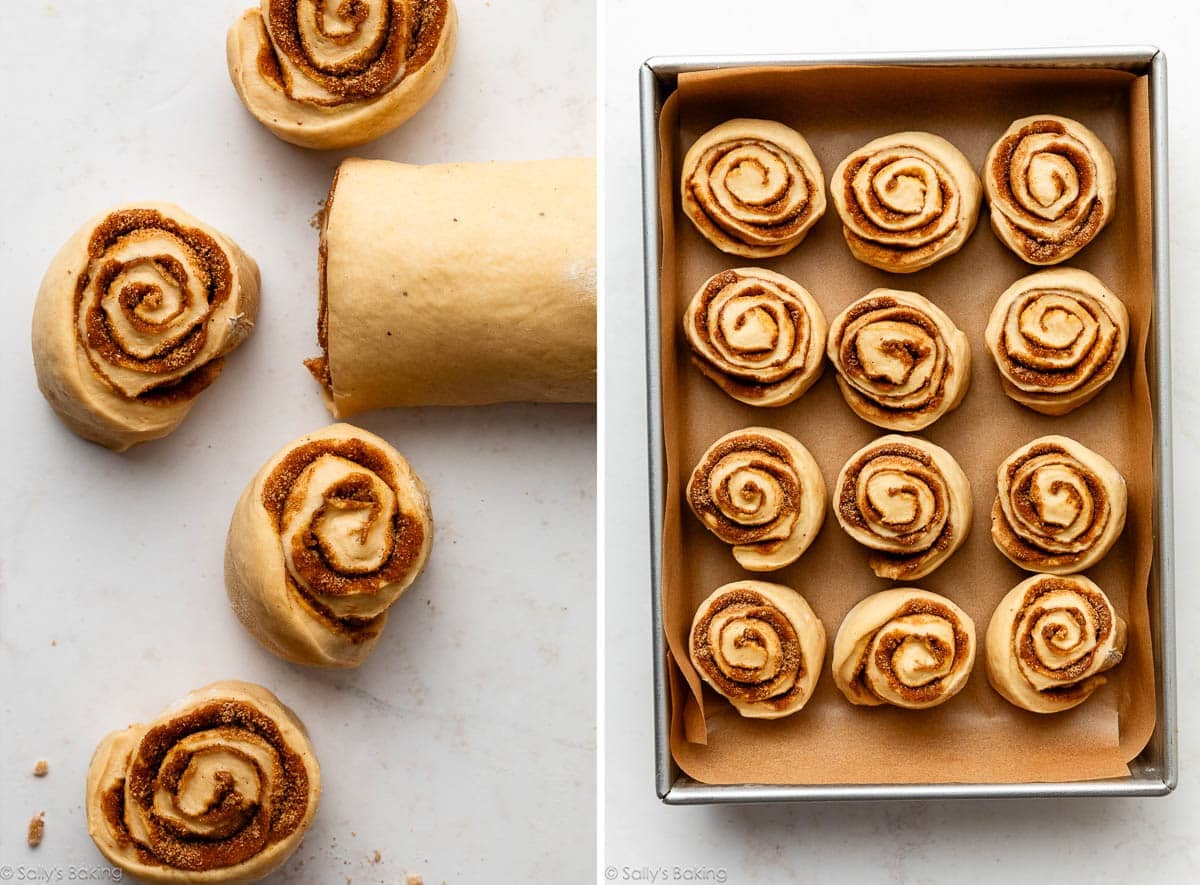 ginger cinnamon rolls cut and placed in baking pan.